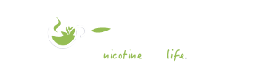 FS Logo